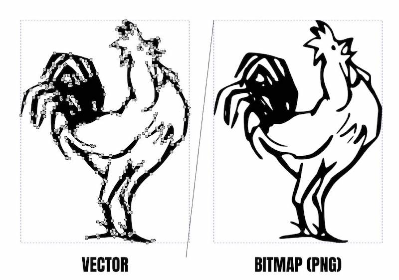 vector image vs bitmap image