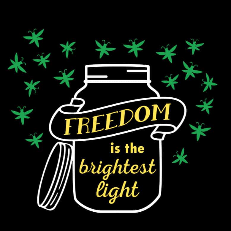preview of the Freedom is the Brightest Light design file