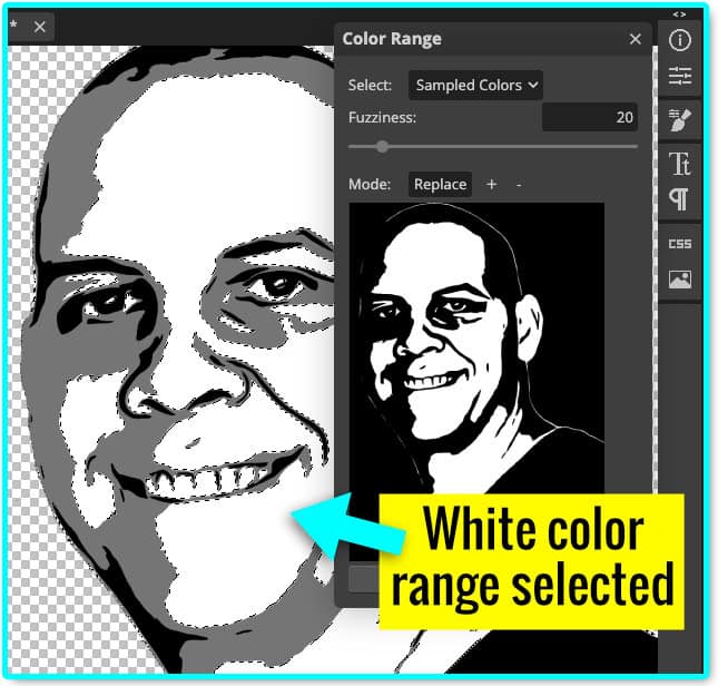 screenshot showing the color range tool being used to select all of the white pixels in an image in photopea