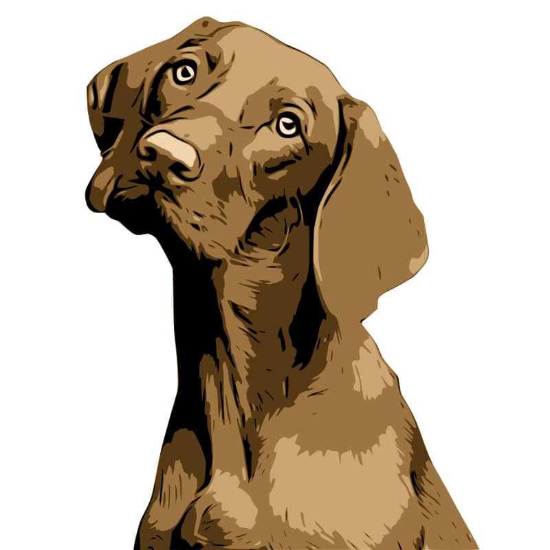 multilayer layer SVG of a dog based on a photo