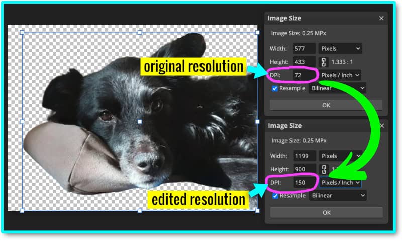 annotated screenshot showing how to change resolution and image size in photopea