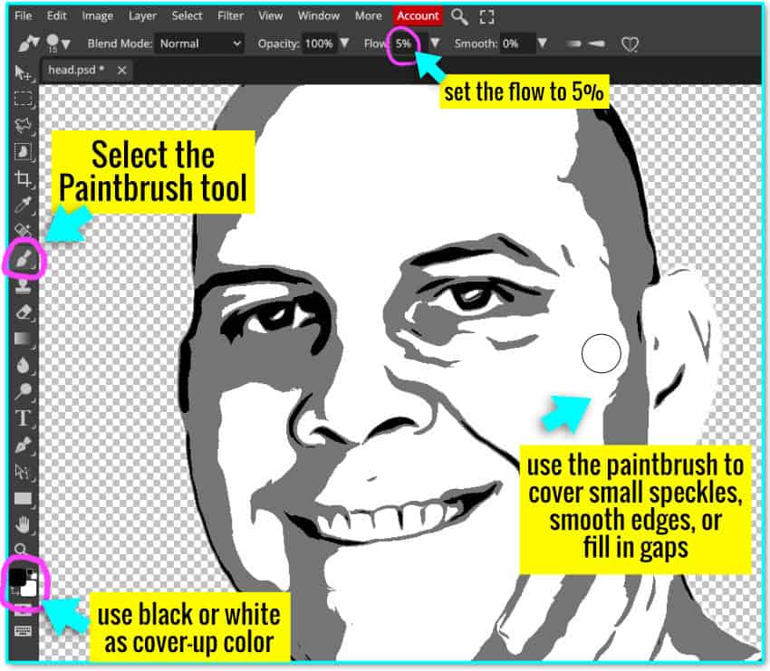 closeup screenshot showing how to use the paintbrush tool on an overlay layer to touchup a posterized image in photopea