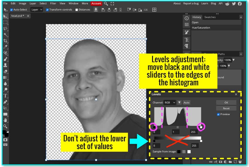 annotated screenshot showing the Levels adjustment tool in photopea