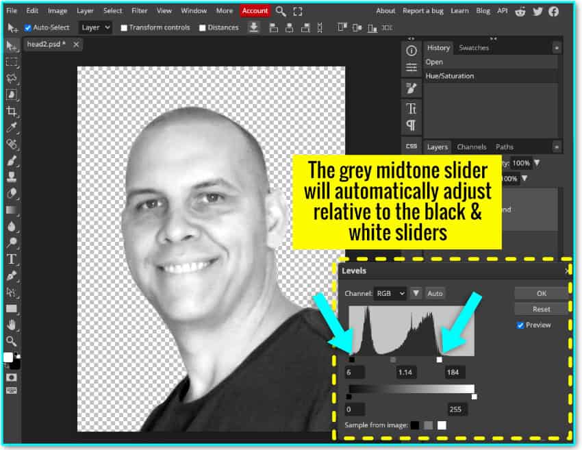 annotated screenshot showing the how to use the Levels adjustment tool to prepare an image to convert it to a vector