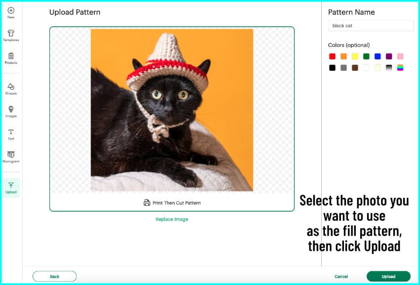 screenshot showing uploading an image to the design space pattern library, where image has been selected for final upload