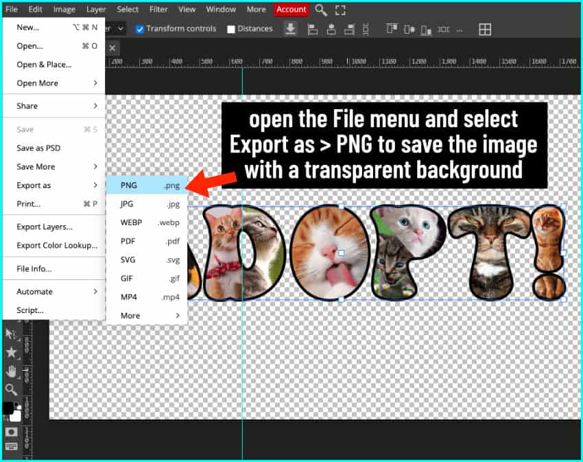 photopea screenshot showing the export file options, including PNG