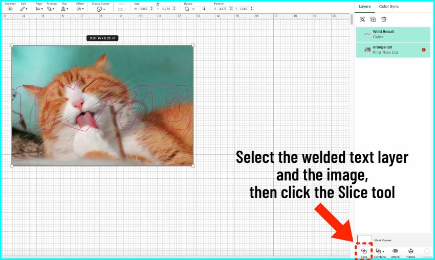 screenshot of design space showing text being sliced out of a photo of a cat