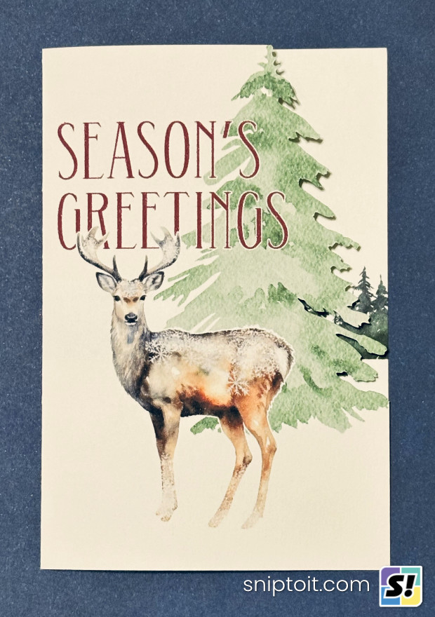 closeup of the finished double sided print then cut card, showing off the printed front design with the contoured die cut edge