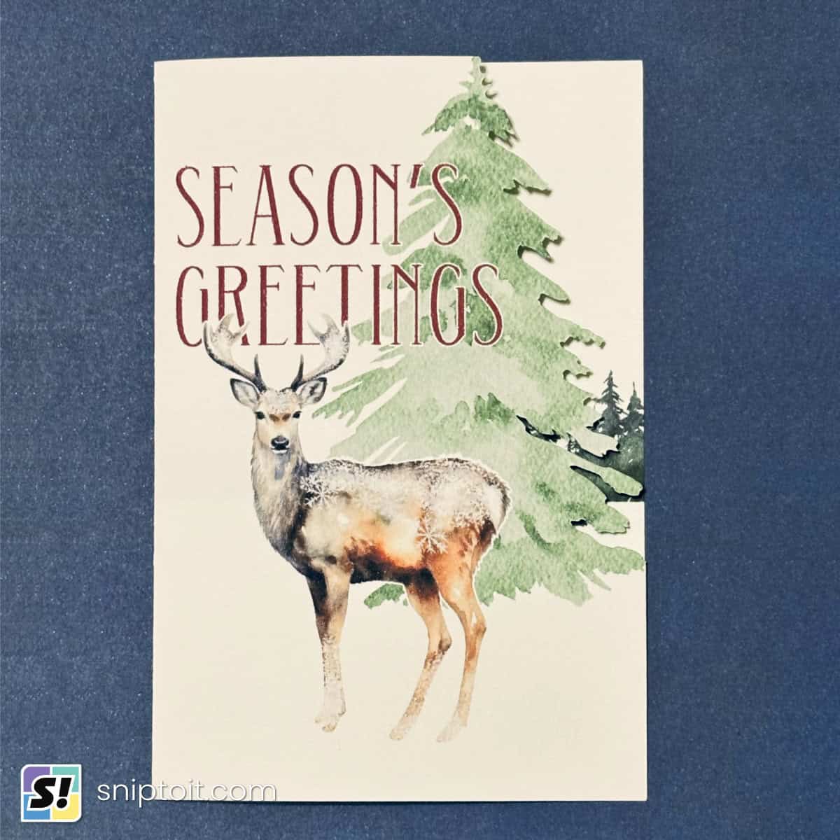 feature image for the double sided print then cut christmas card with the contoured die cut side edge and personalized script