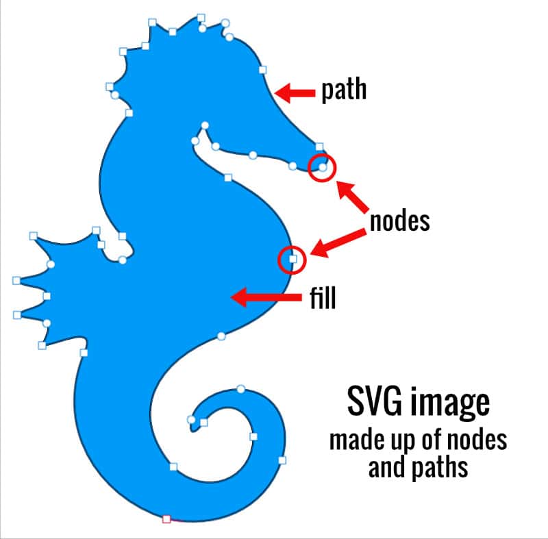 vector-vs-bitmap-points SVG image highlighted to show nodes, paths and fill.