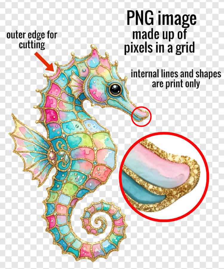 closeup of a watercolor seahorse PNG showing the transparent background, and a closeup showing the pixels that make up the image. Image is also anotated to show the outer edge that will be read as a cut line in Design Space, and that internal lines and shapes will not be read as cut paths