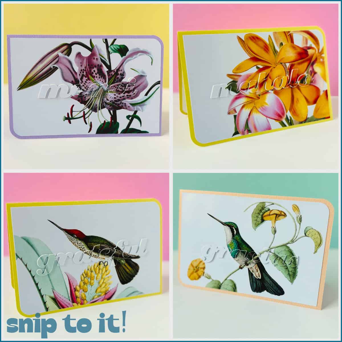 4 eclipse cards created in cricut design space are featured, showing flowers and hummingbirds with raised matching text reading "merci" "mahalo" "grateful" and "gracias" - a set of lovely thank you cards